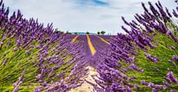 Top 5 Must Visit Family Hotels in Aix-en-Provence