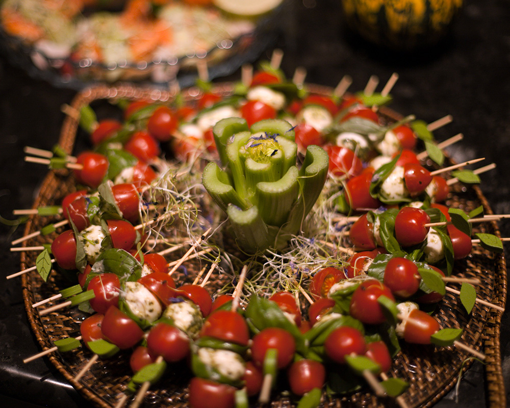 ayurvedic catering in switzerland (8)