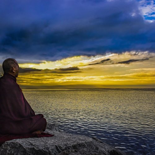Living Harmony