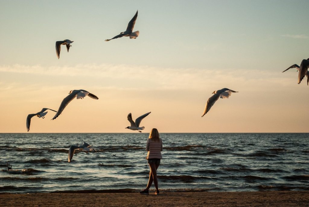 Stress Reduction and Emotional Wellness Stress Reduction and Emotional Wellness